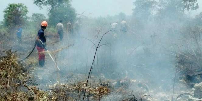 Guru Besar IPB: Gas Kebakaran Gambut Sama dengan Sianida