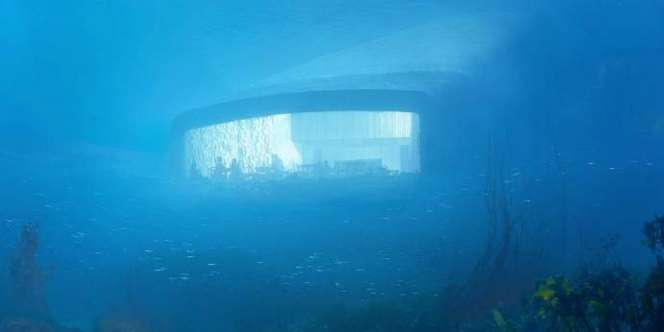 Ingin Makan di Restoran Bawah Laut? di Sini Tempatnya