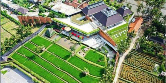 Blangsinga, Desa Wisata di Bali yang Siap Menyihir Mata
