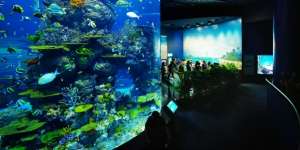 Tips Wisata Halal di Sentosa Bersama Keluarga 