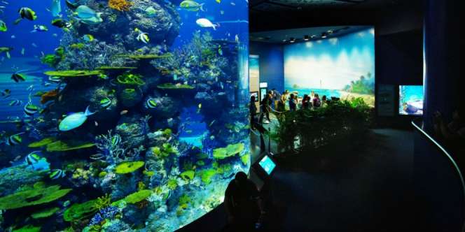 Tips Wisata Halal di Sentosa Bersama Keluarga 