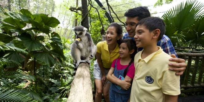 Moslem Traveler Guide Jalan Seru ke Taman Cagar Alam Singapura