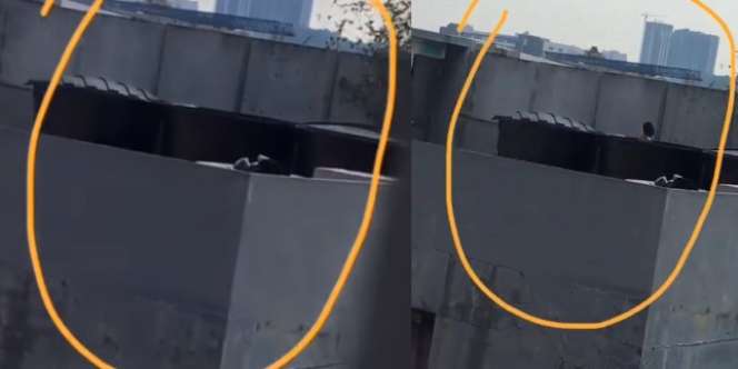 Heboh Video Pria Berenang di Tandon Air Warung Makan