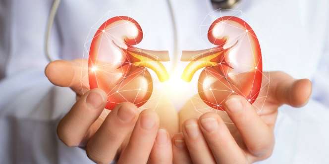 Hipertensi, Pemicu Utama Penyakit Gagal Ginjal di Indonesia