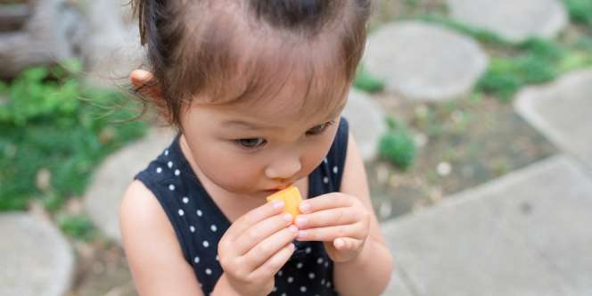 Saran Ahli Gizi Saat Anak Hanya Mau Makan Camilan