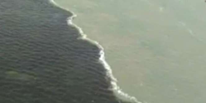 Geger Air Laut Dua Warna Tak Bisa Bercampur di Jembatan Suramadu