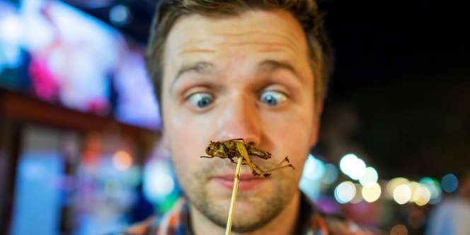 Belalang Halal Dimakan, Bagaimana dengan Jangkrik?