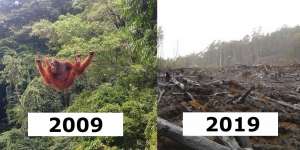Andai Alam Mengikuti #10YearChallenge, Hasilnya Menyedihkan