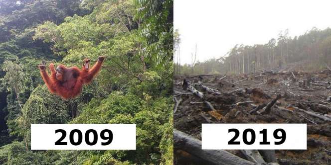 Andai Alam Mengikuti #10YearChallenge, Hasilnya Menyedihkan