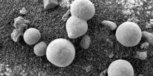 Beredar Foto Jamur di Mars, Ini Fakta Sesungguhnya