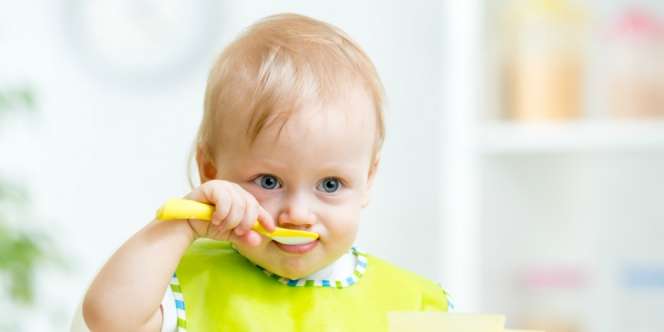 Ide Menu MPASI untuk Anak Usia 6 - 12 Bulan