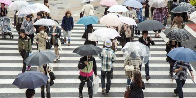 Tak Terjadi di Negara Lain! 100% Payung Sewa di Jepang Dikembalikan Peminjamnya
