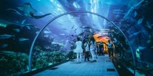 Liburan Seru Bareng Keluarga ke Dubai, Ada Apa Saja?