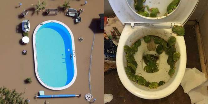 Ngeri, Deretan Foto Ini Bukti Perubahan Sebelum dan Sesudah Bencana Alam