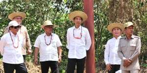 Jokowi Sebut Wilayah Ini Paling Siap Jadi Ibu Kota Baru RI