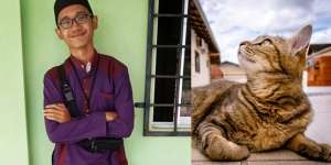 Kisah Tulus Pemuda Rawat Kucing Liar Sampai Akhir Hayat