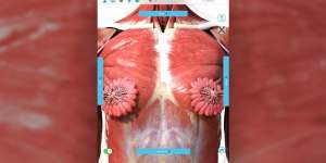 Viral Organ Payudara Mirip Bunga Mekar Ternyata Salah Kaprah