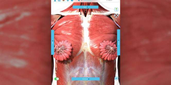 Viral Organ Payudara Mirip Bunga Mekar Ternyata Salah Kaprah