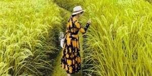 Pose di Tengah Sawah, Syahrini Pakai Fashion Puluhan Juta