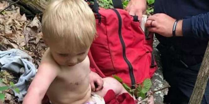 Wow! Balita Ini Bertahan Hidup Sendirian di Hutan