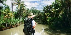 Wisata Hutan Kalimantan untuk Liburan Anti-Mainstream