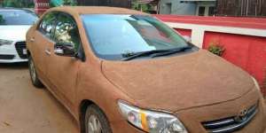 Body Toyota Corolla Dibaluri Kotoran Sapi Biar Dingin, Hasilnya Mengejutkan