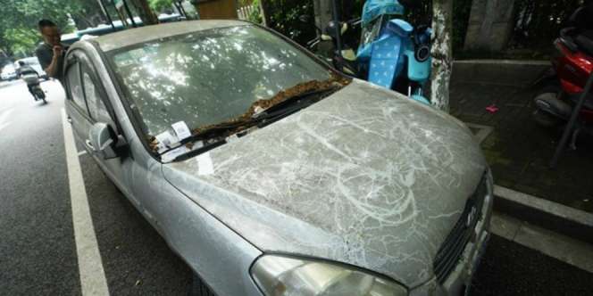 Parkir Mobil 600 Hari, Pemilik Ditagih Rp171 Juta