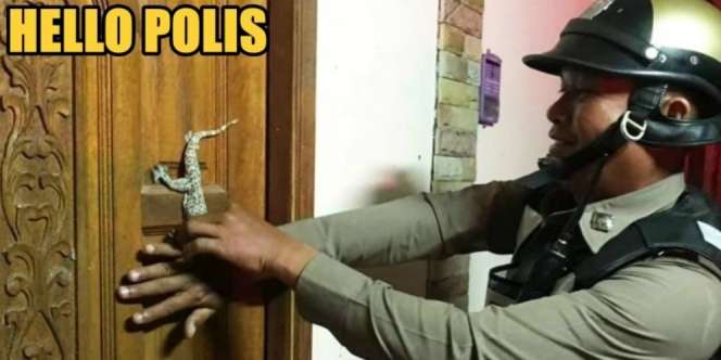 Dikira Buaya di Pintu Rumah, Wanita Telepon Polisi Karena Lihat Tokek