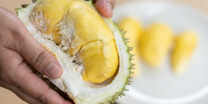 Fakta Buah Durian yang Laku Rp683 Juta