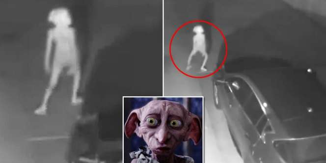 Heboh! Penampakan Mirip Dobby di Harry Potter Terekam CCTV