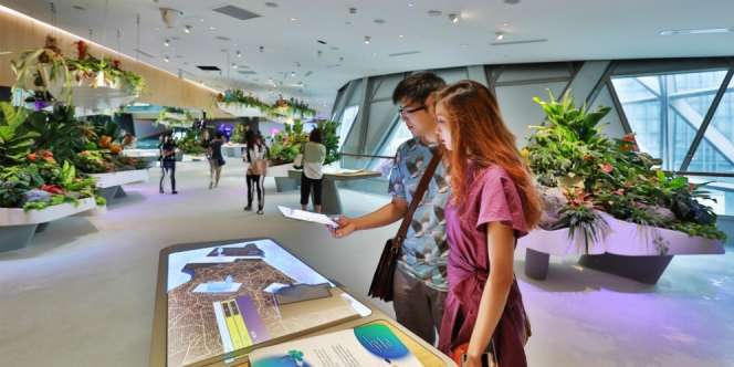Bermain Seru Sambil Menunggu Penerbangan di Changi Airport