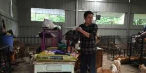Larut dalam Kesedihan Ditinggal Anjing, Pria Ini Terlilit Utang Rp1 M