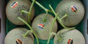 Menguak Eksklusivitas Melon di Jepang, Buah Tanda Kesetiaan Para Samurai