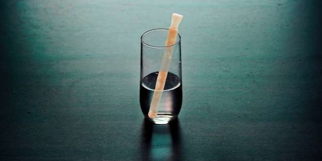 4 Khasiat Mengejutkan dari Siwak, Belum Banyak yang Tahu Lho