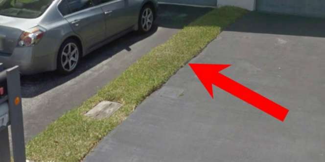 Merasa Beli Vila, Pria Ini Tahunya Cuma Beli Sepetak Rumput