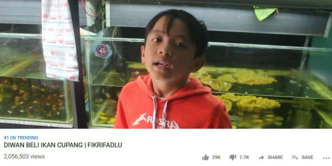 Di Tengah Riuh Sidang MK, Video Bocah Beli Cupang Ini Trending No 1 di Youtube