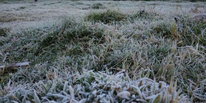 Suhu Dieng Minus 9 Derajat Celcius, Banyak Mobil Mogok