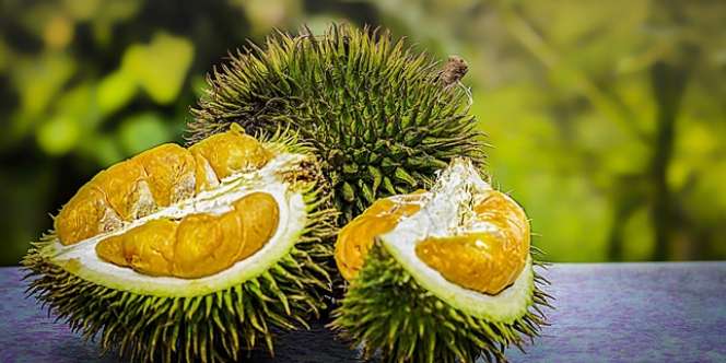 Dokter Ungkap Rahasia Minum Air Pakai Kulit Durian Usai Memakannya