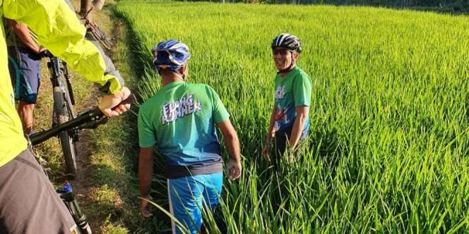 Sandiaga Uno Kecemplung ke Sawah
