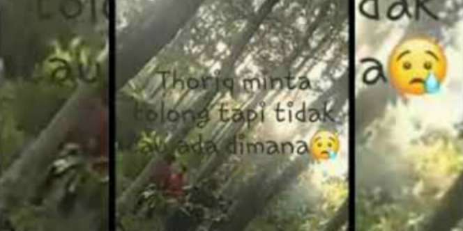 Viral Pendaki Hilang di Gunung, Tim SAR Dengar Suara Tanpa Wujud