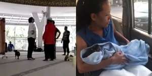 Anjing Hitam yang Dibawa Masuk ke Mesjid di Sentul Mati Tertabrak?