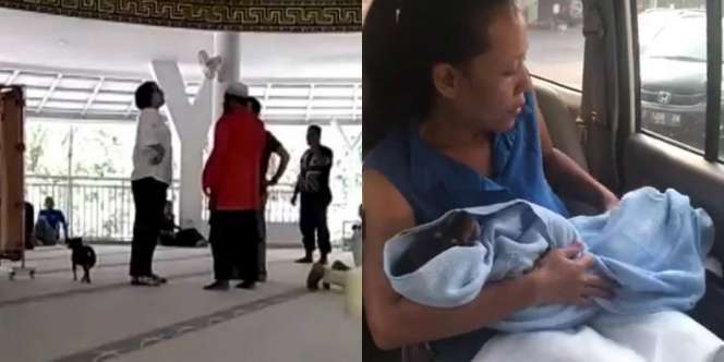 Anjing Hitam yang Dibawa Masuk ke Mesjid di Sentul Mati Tertabrak?