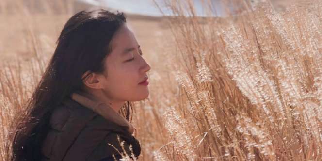 Pesona Liu Yifei, Pemeran Mulan si Princess Tangguh