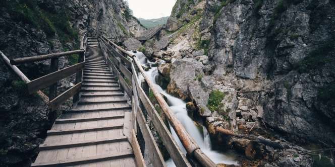 8 Jembatan Terekstrem di Dunia, Berani Coba?