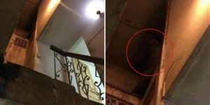 Pria Ini Bagikan Pengalaman Tinggal di Asrama Berhantu Semasa Kuliah