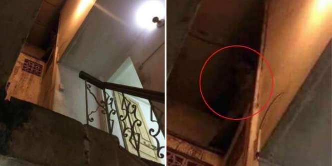 Pria Ini Bagikan Pengalaman Tinggal di Asrama Berhantu Semasa Kuliah
