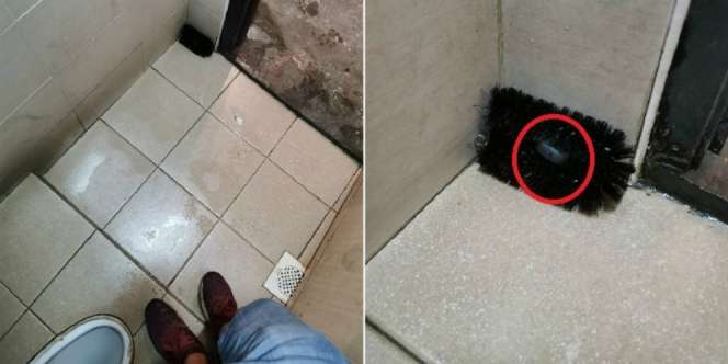 Lihat Sikat Aneh di Toilet Umum, Pas Didekati Satu Toko Gempar