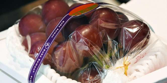 24 Buah Anggur Gendut Dijual Rp153 Juta, Apa Istimewanya?