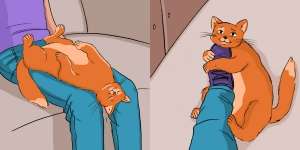 Gemesin! Begini Gelagat Kucing Saat Bilang 'I Love You' ke Manusia
