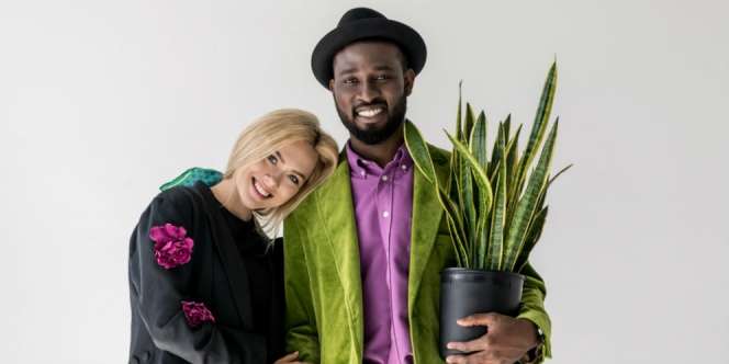 Disebar Agar Kurangi Polusi Jakarta, Ini Penelitian NASA Soal Lidah Mertua